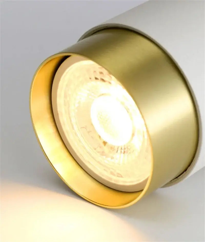 Modern white & gold ceiling chandelier living room spotlight