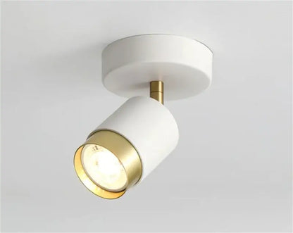 Modern white & gold ceiling chandelier living room spotlight
