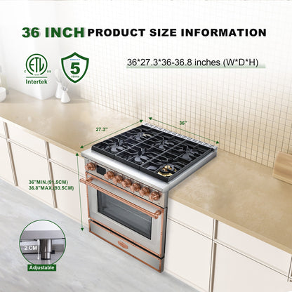 36” Freestanding Gas Range with 6 Sealed Burners Cooktop, Natural Gas/LP Convertible - AK-G36N05A-BS