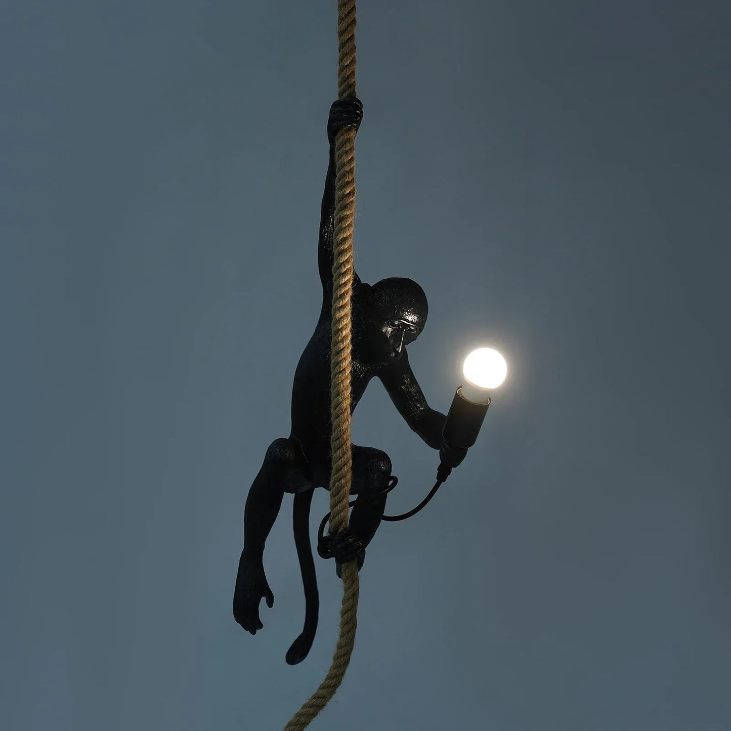 DecorBites™ Monkey Rope Chandelier Pendant Light