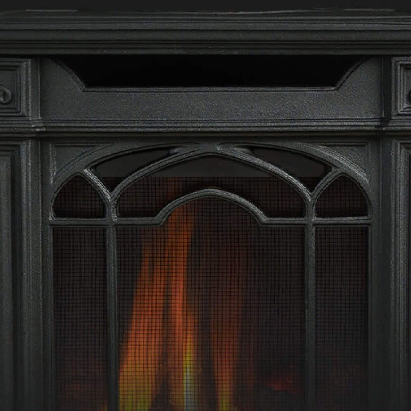 Napoleon Arlington 20 19-Inch Cast Iron Millivolt Ignition Majolica Brown Natural Gas Stove [GDS20NNSB] (SAK43798)
