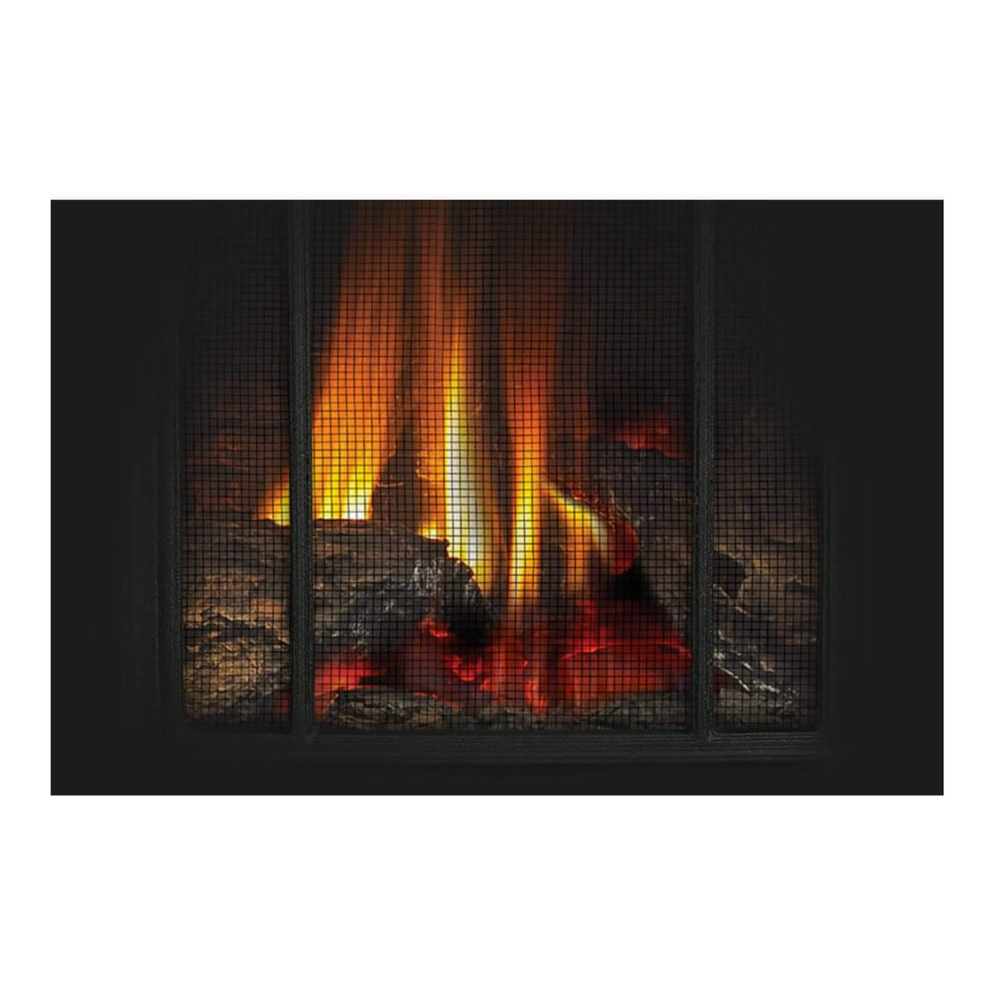 Napoleon Arlington 20 Cast Iron Direct Vent Metallic Black Natural Gas Stove, 19" [GDS20NE] (SAK18258)