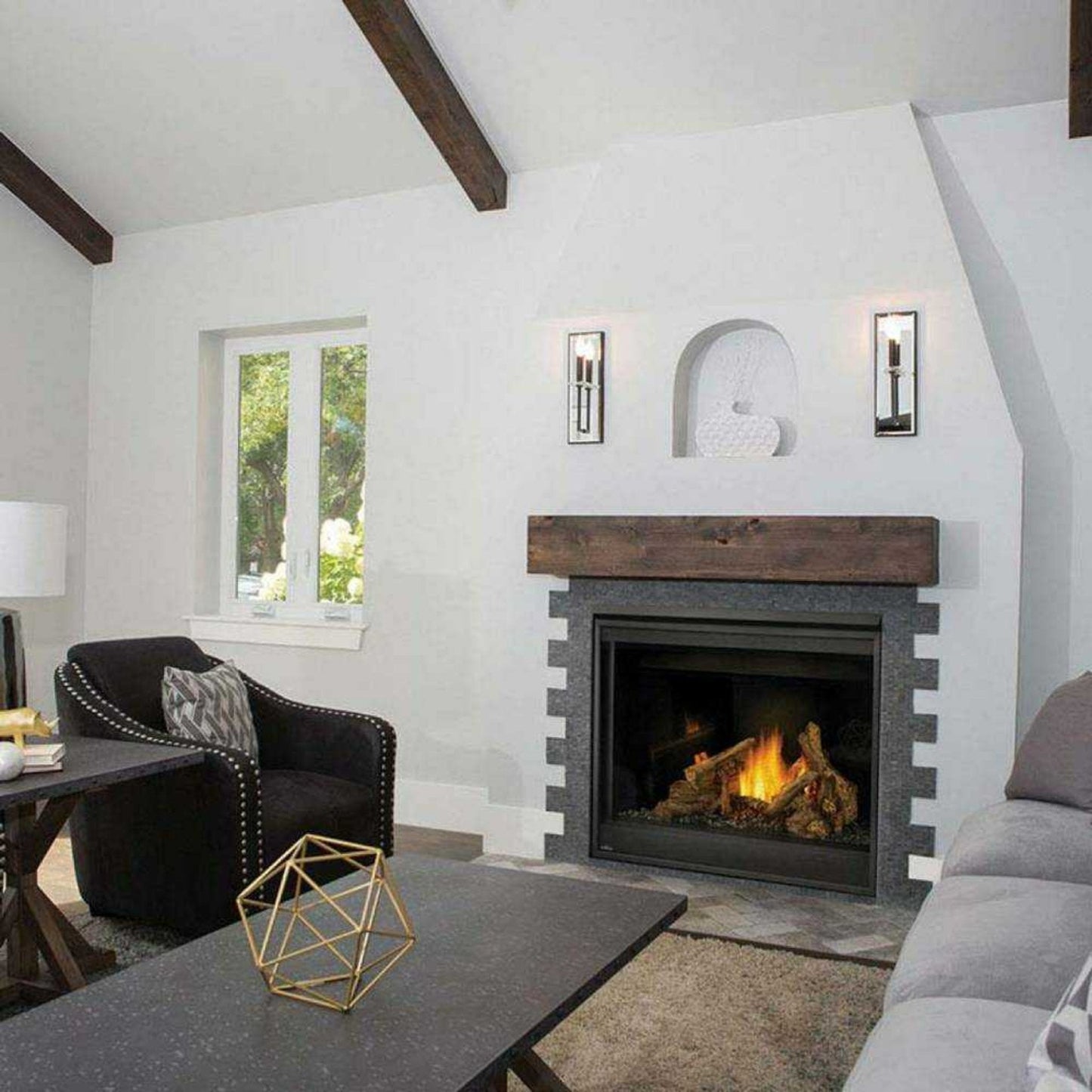 Napoleon Ascent 42 Direct Vent Millivolt Ignition Propane Gas Fireplace [B42N/PTR] (SAK91456)