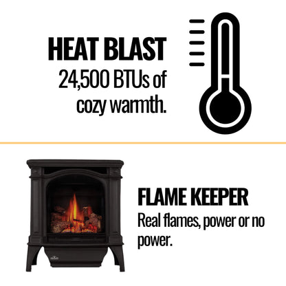 Napoleon Bayfield 25-Inch Direct Vent Electronic Ignition Natural Gas Cast Iron Stove [GDS25NA-1] (SAK95498)