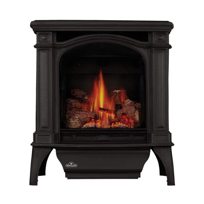 Napoleon Bayfield 25-Inch Direct Vent Electronic Ignition Natural Gas Cast Iron Stove [GDS25NA-1] (SAK95498)