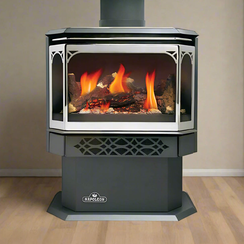Napoleon Haliburton 50 22-Inch Direct Vent Millivolt Ignition Compact Natural Gas Stove [GDS28-1NSB] (SAK81523)