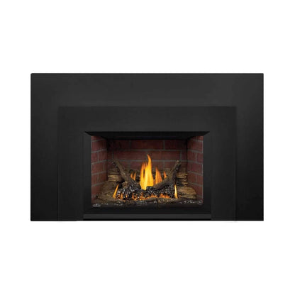 Napoleon Oakville 3 28-Inch Direct Vent Natural Gas Fireplace Insert [GDI3N-1] (SAK25498)