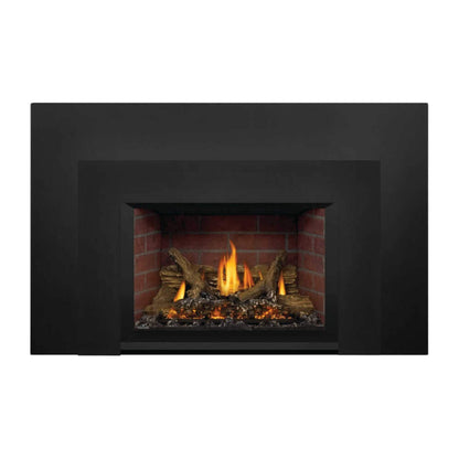 Napoleon Oakville X3/X4 Direct Vent Electronic Ignition Natural Gas Fireplace Insert [GDIX3N/4N-1] (SAK21347)