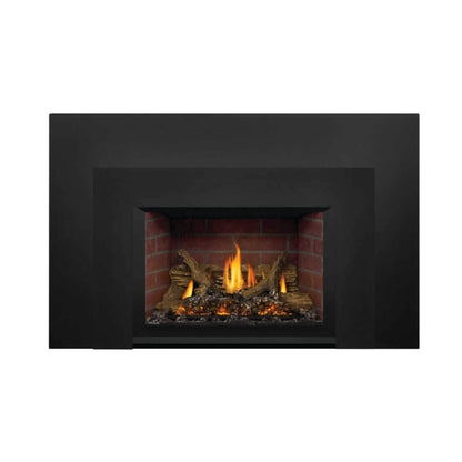 Napoleon Oakville X3/X4 Direct Vent Electronic Ignition Natural Gas Fireplace Insert [GDIX3N/4N-1] (SAK21347)