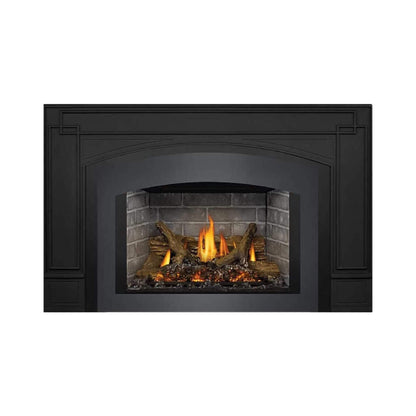 Napoleon Oakville X3/X4 Direct Vent Electronic Ignition Natural Gas Fireplace Insert [GDIX3N/4N-1] (SAK21347)