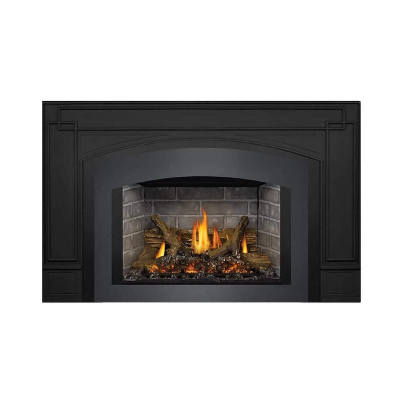 Napoleon Oakville X3/X4 Direct Vent Electronic Ignition Natural Gas Fireplace Insert [GDIX3N/4N-1] (SAK21347)