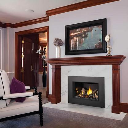 Napoleon Oakville X3/X4 Direct Vent Electronic Ignition Natural Gas Fireplace Insert [GDIX3N/4N-1] (SAK21347)