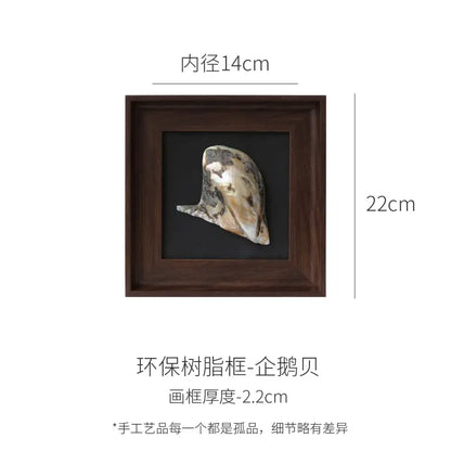 Natural abalone shell brown decorative painting frame living room art