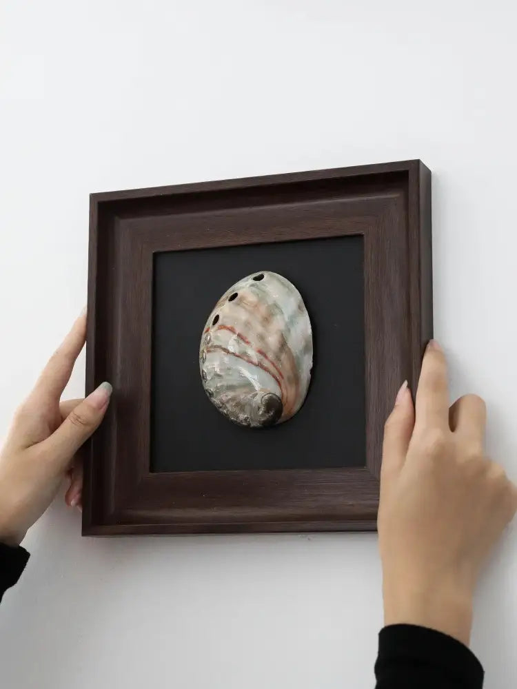 Natural abalone shell brown decorative painting frame living room art