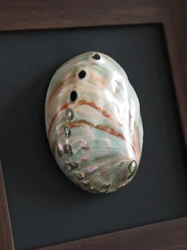 Natural abalone shell brown decorative painting frame living room art
