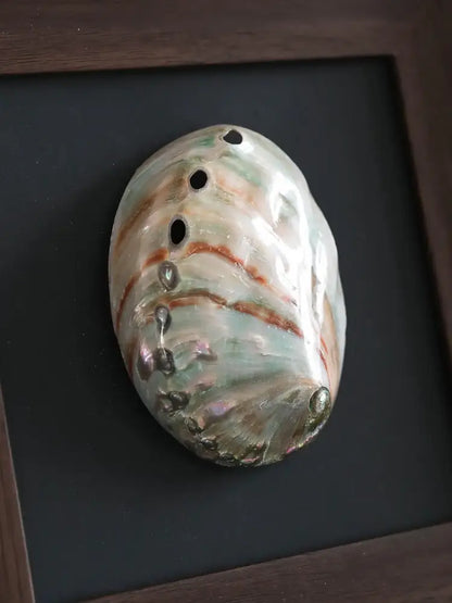 Natural abalone shell brown decorative painting frame living room art