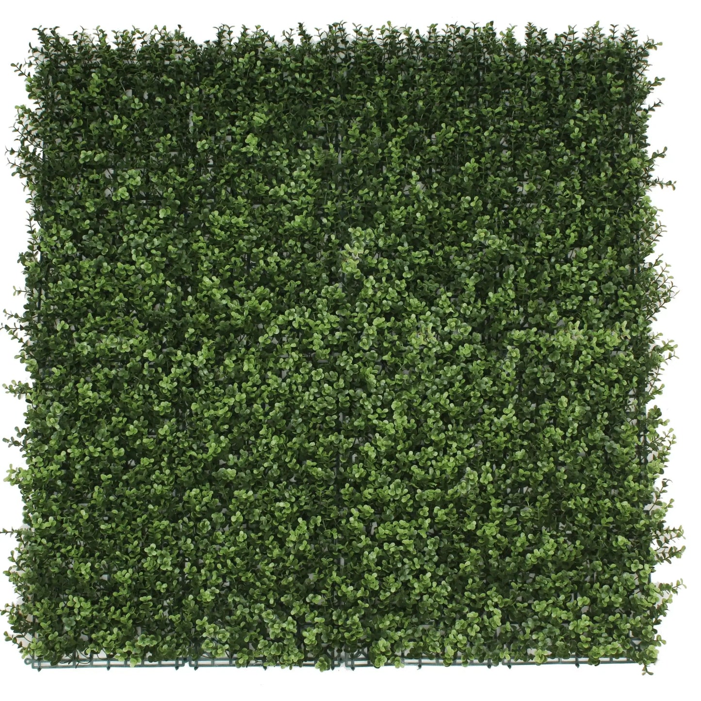 Natural Boxwood Artificial Vertical Garden Green Wall Panel 40×40in 11 SQ FT – UV Resistant – Commercial Grade
