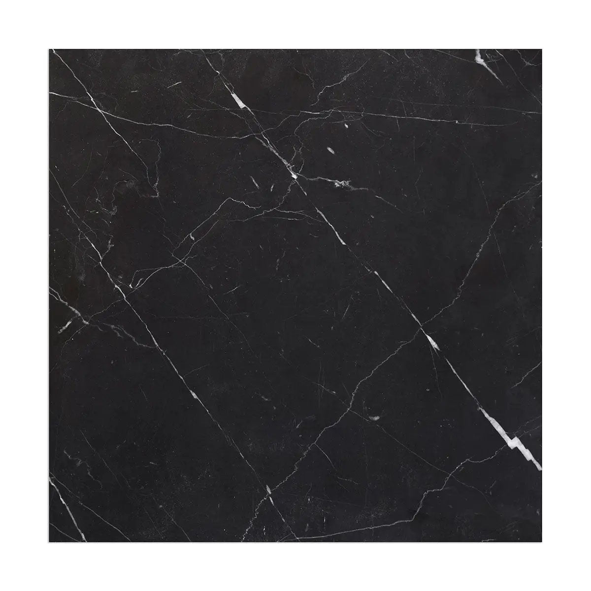 Nero Marquina Premium Honed Marble Tiles 18x18