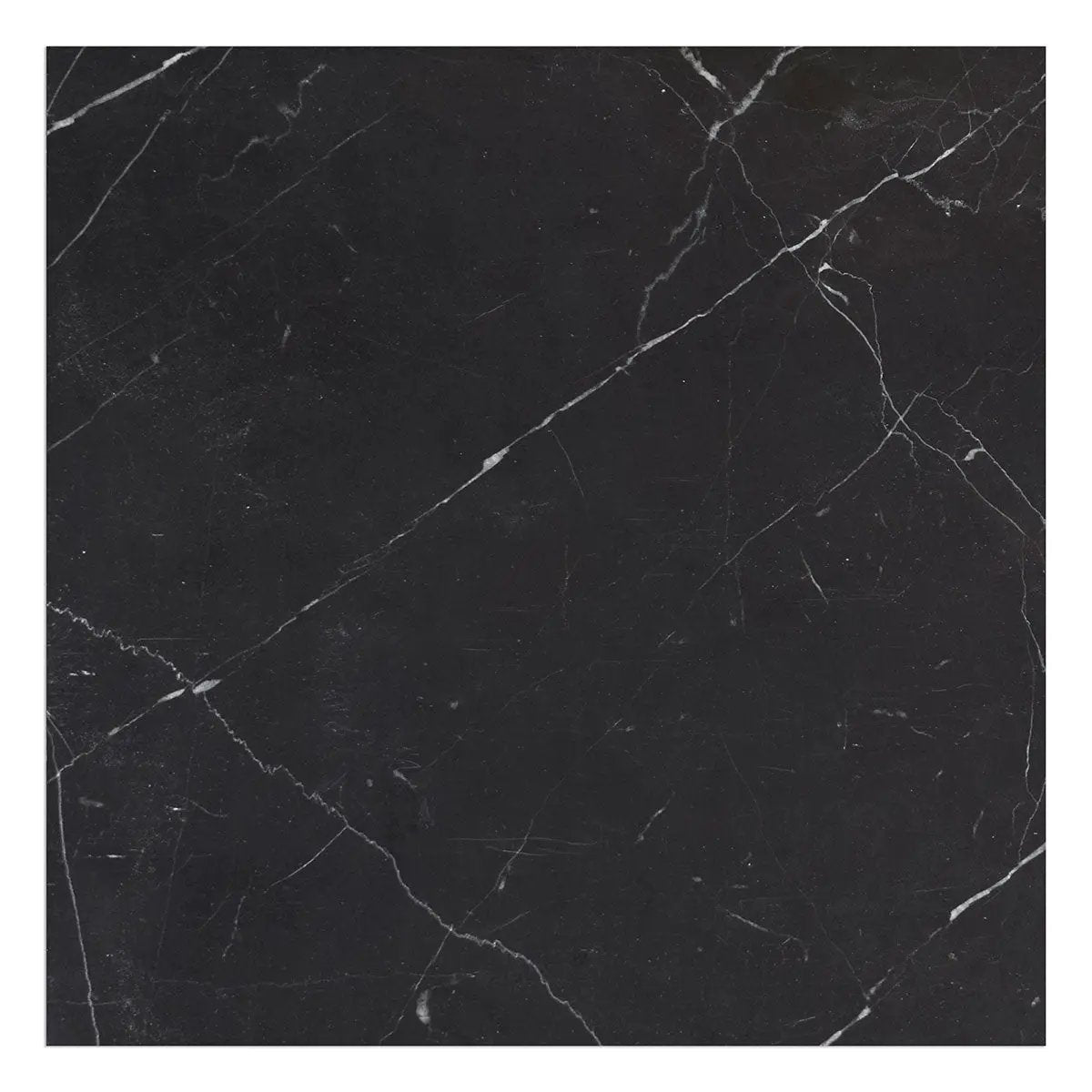 Nero Marquina Premium Honed Marble Tiles 24x24