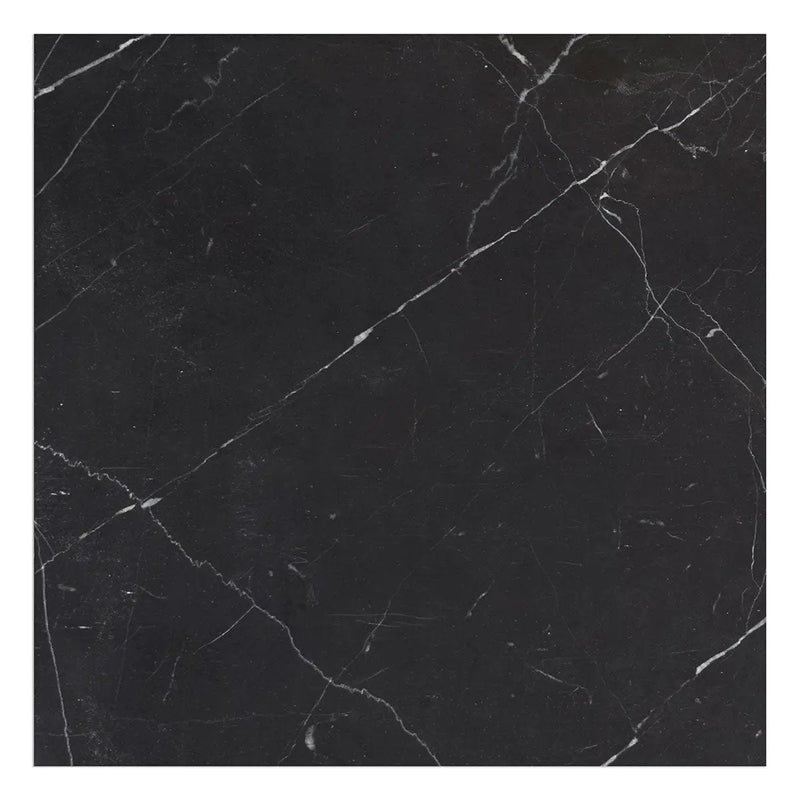Nero Marquina Premium Honed Marble Tiles 24x24