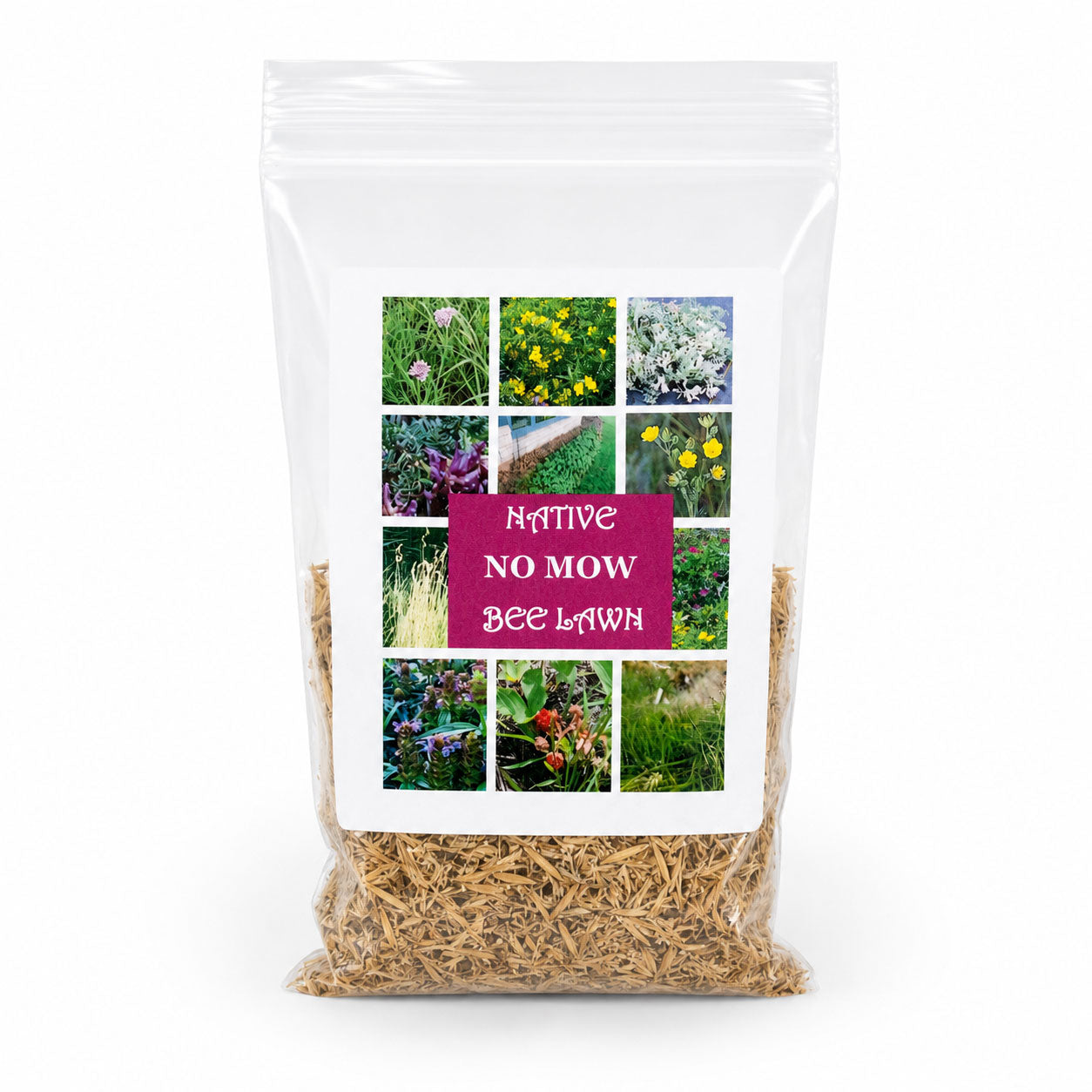 No Mow Bee Lawn Native Seed Wildflower Mix | 1.76 oz | Prairie Legacy Inc.