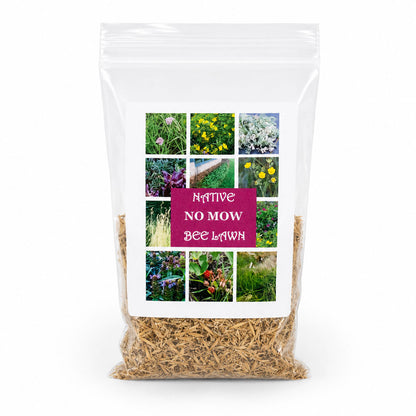 No Mow Bee Lawn Native Seed Wildflower Mix | 1.76 oz | Prairie Legacy Inc.