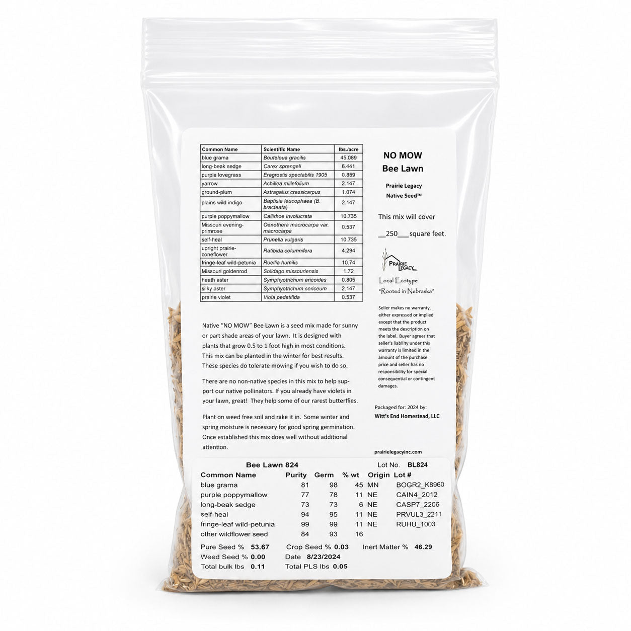 No Mow Bee Lawn Native Seed Wildflower Mix | 1.76 oz | Prairie Legacy Inc.