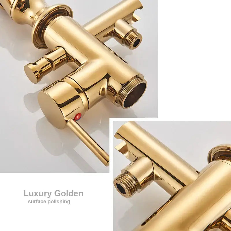 Ornate gold dragon freestanding bathtub faucet bathroom handshower
