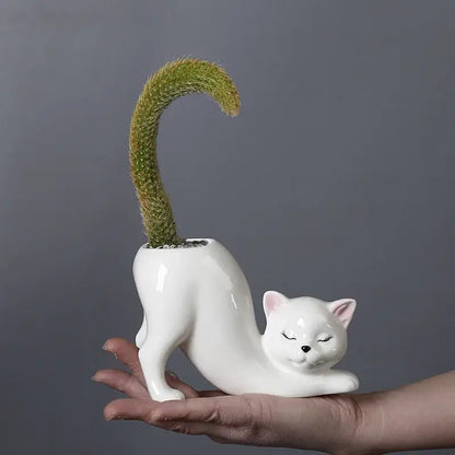 Pastel ceramic cat tail succulent planter bedroom flowerpot
