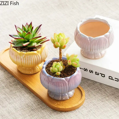 Pastel gradient lotus flower ceramic succulent pots bedroom decor