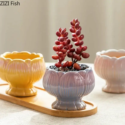 Pastel gradient lotus flower ceramic succulent pots bedroom decor