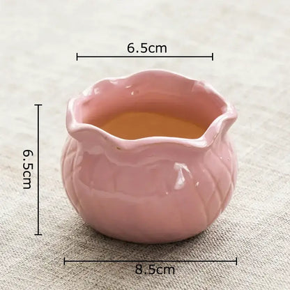 Pastel gradient lotus flower ceramic succulent pots bedroom decor