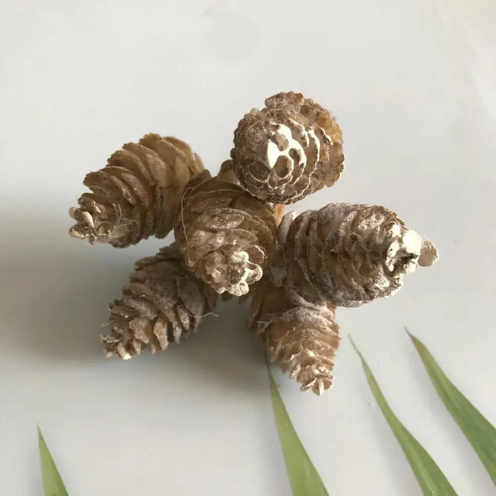 Pastel pinecone artificial flower wreath for living room decor