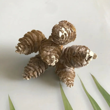 Pastel pinecone artificial flower wreath for living room decor