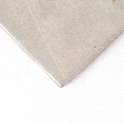 Patience Glossy Ceramic Tiles 2 1/2x5