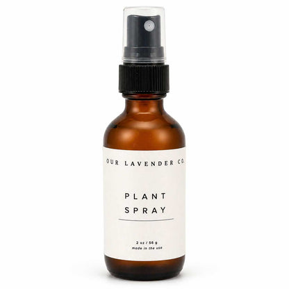 Lavender Scented Plant Spray | Multiple Sizes | Our Lavender Co