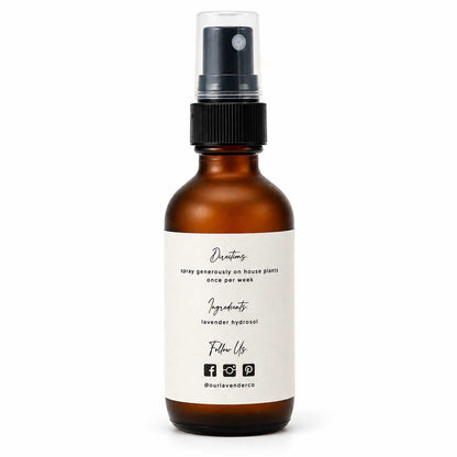 Lavender Scented Plant Spray | Multiple Sizes | Our Lavender Co