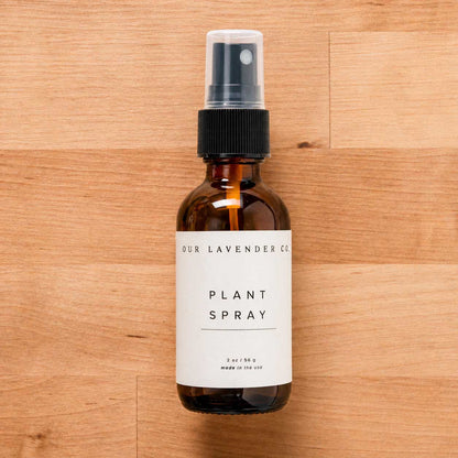 Lavender Scented Plant Spray | Multiple Sizes | Our Lavender Co