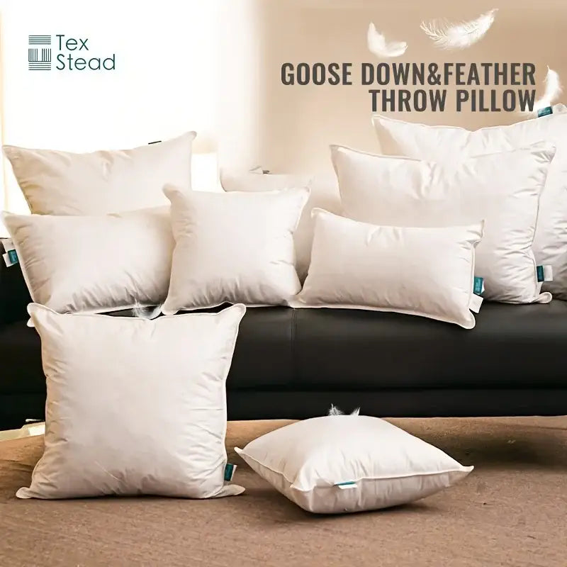 Plush white goose feather insert pillow bedroom & living room decor