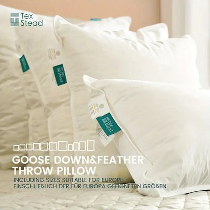 Plush white goose feather insert pillow bedroom & living room decor