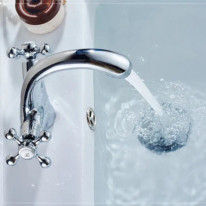 Polished brass dual cross handle bathroom bidet faucet