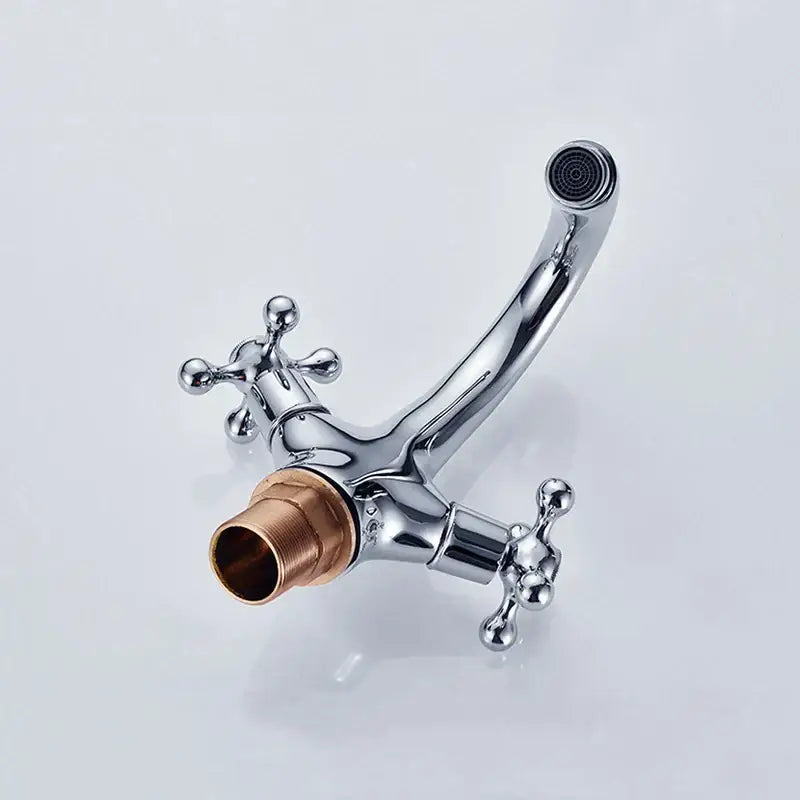 Polished brass dual cross handle bathroom bidet faucet