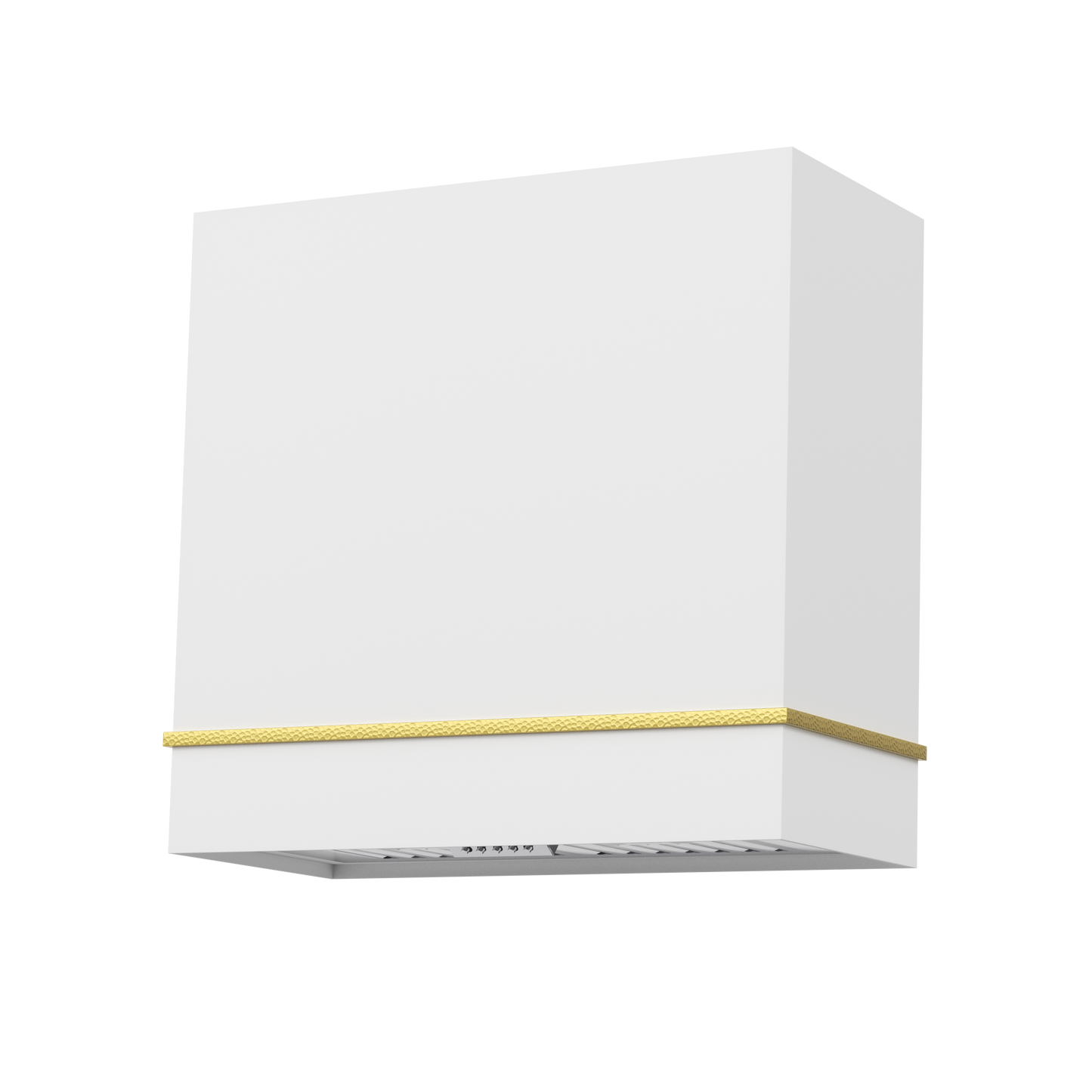 Akicon 30" Stainless Steel Wall Mount Range Hood with 600 CFM Vent Hood
