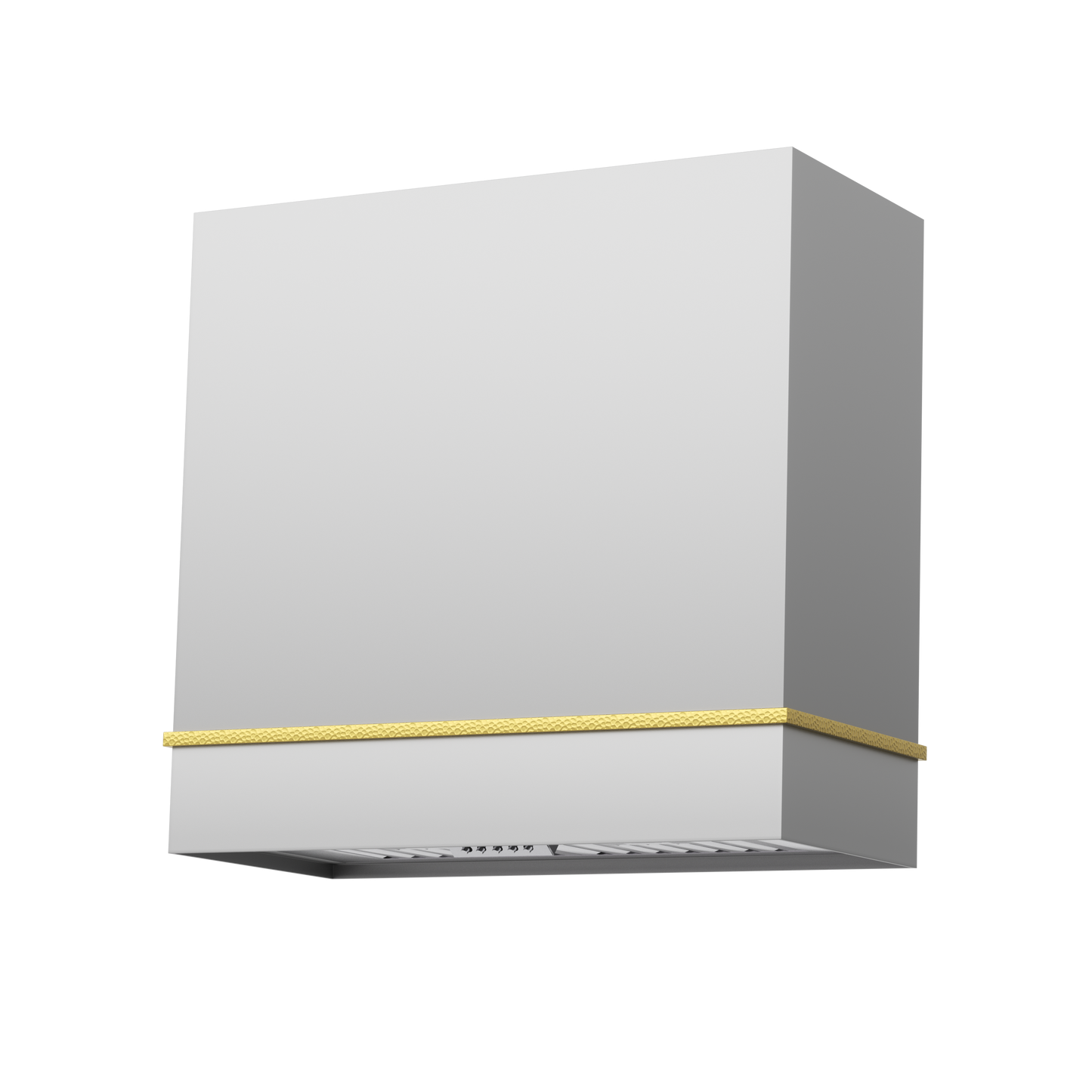 Akicon 30" Stainless Steel Wall Mount Range Hood with 600 CFM Vent Hood