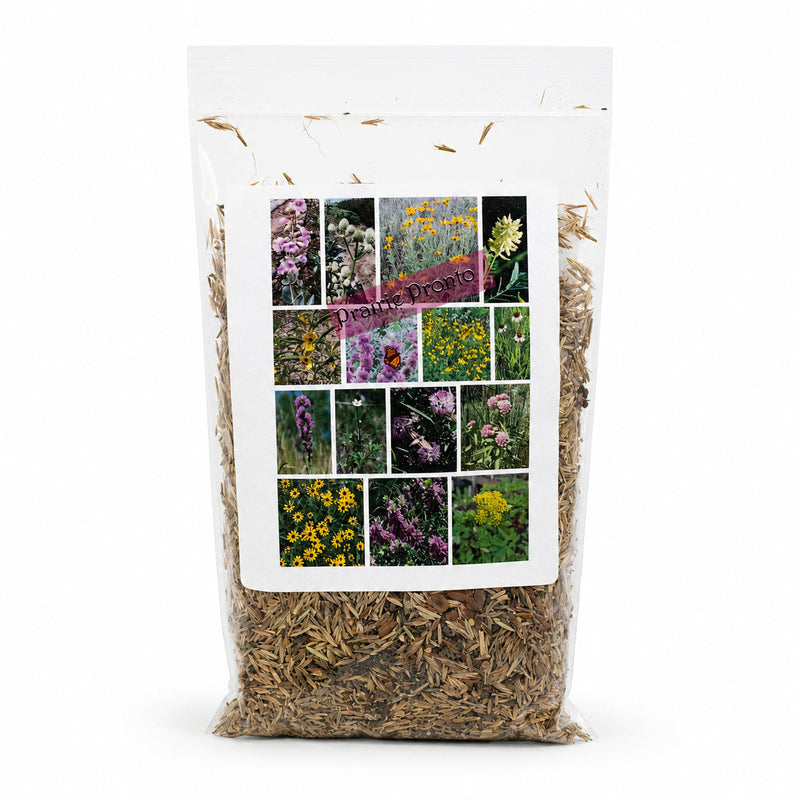 Prairie Pronto Native Nebraska Seed Mix | 2.4 oz | Prairie Legacy Inc.