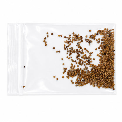 Mini Native Short Pollinator Patch Seed Mix | Prairie Legacy Inc.