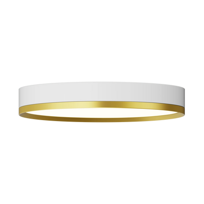 Rayhil INOVA 12" 18W Surface Mount Selectable CCT
