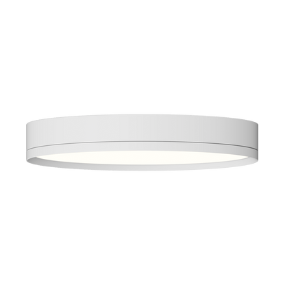 Rayhil INOVA 12" 18W Surface Mount Selectable CCT