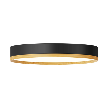 Rayhil INOVA 9" 15W Surface Mount Selectable CCT