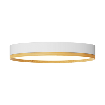Rayhil INOVA 9" 15W Surface Mount Selectable CCT